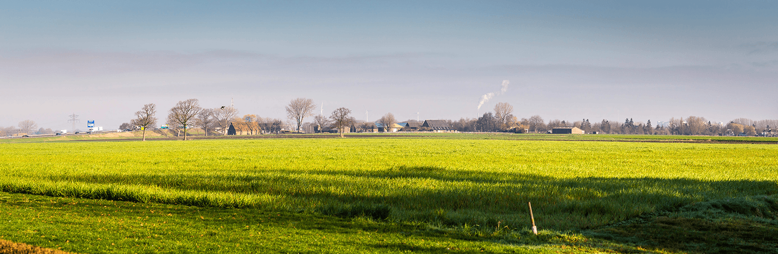 Landschaps foto